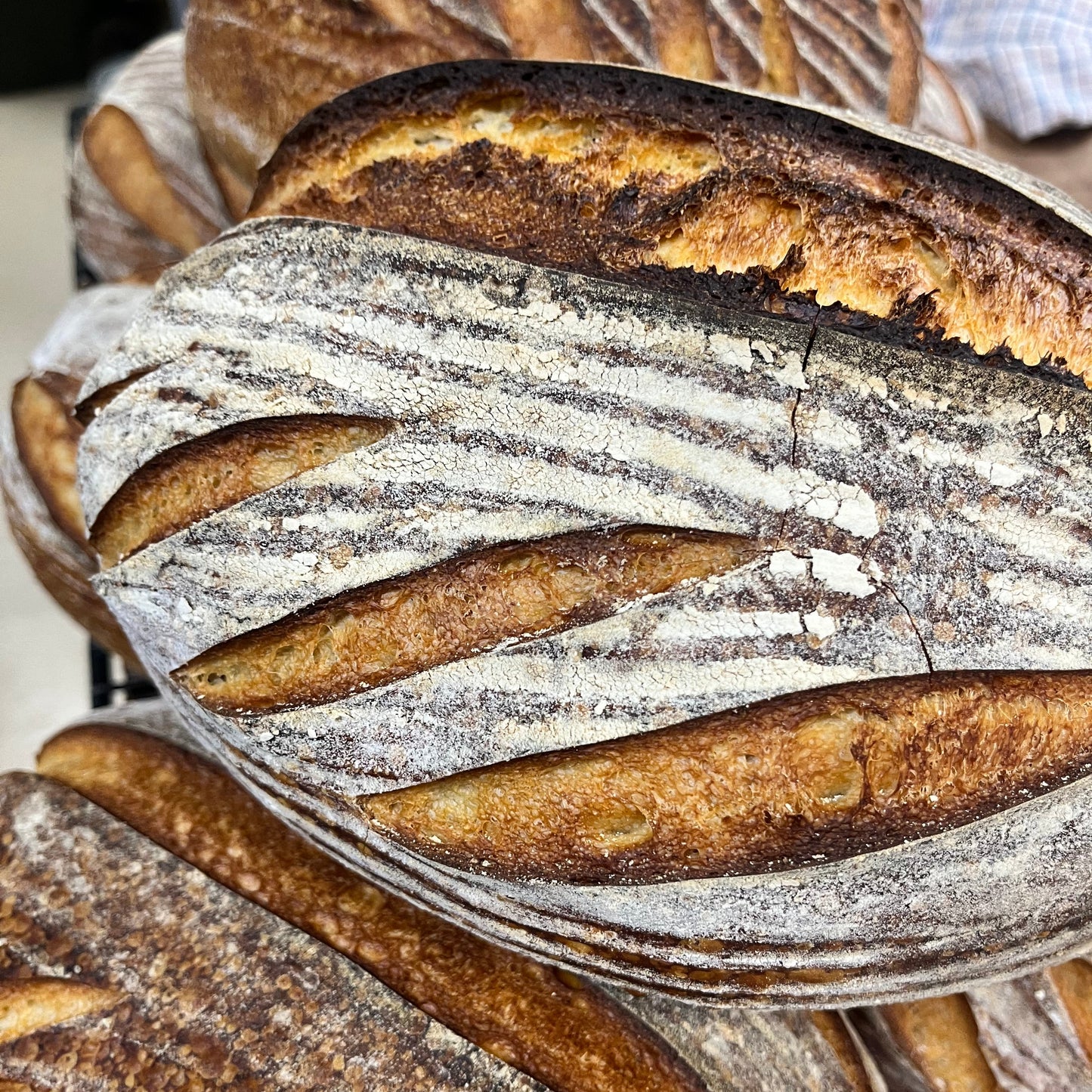 Silverstream Sourdough